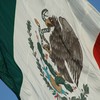 Mexican Flag